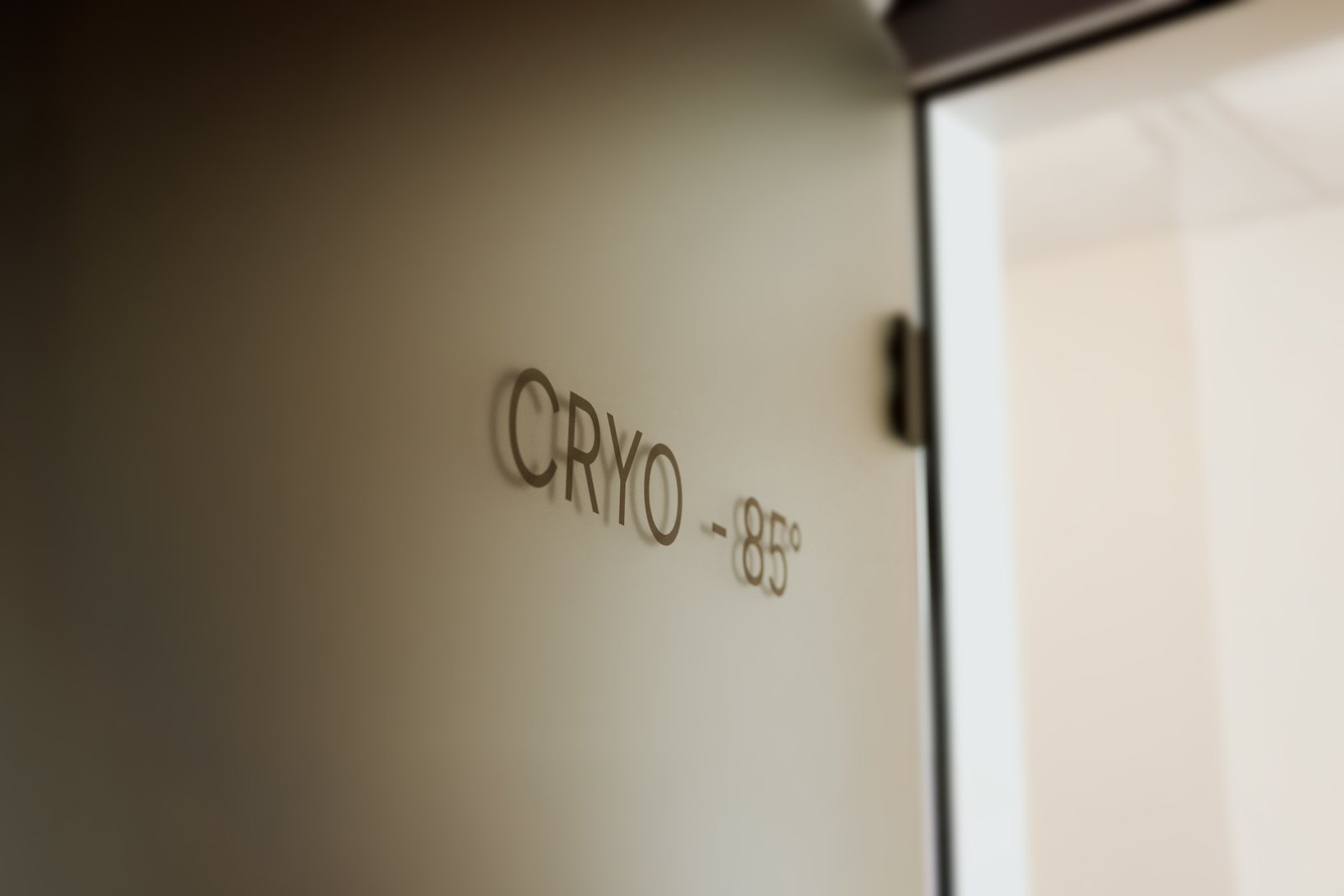 Kryokammer CRYO –85°C Eingang